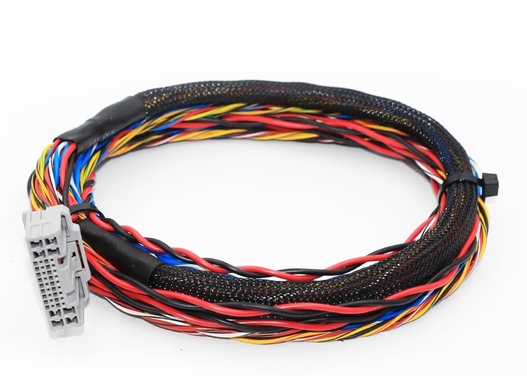 Dicktator Harness DBW