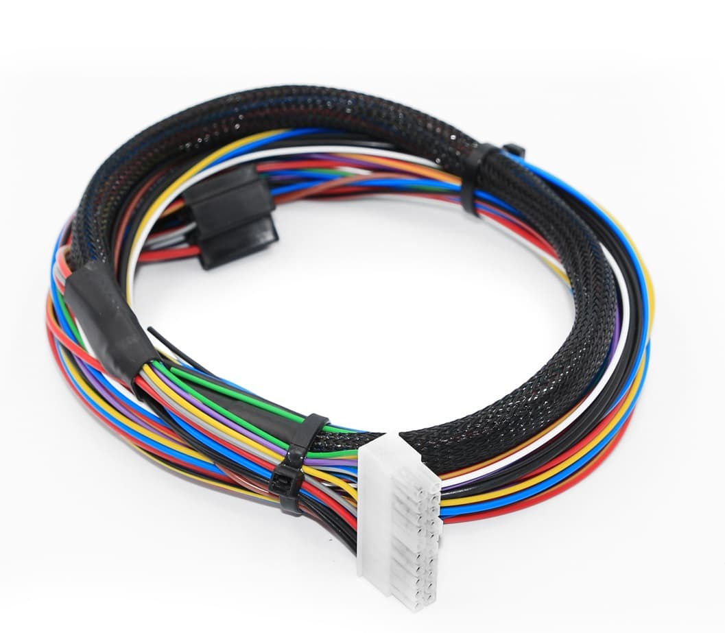 Dicktator Harness Wasted Spark